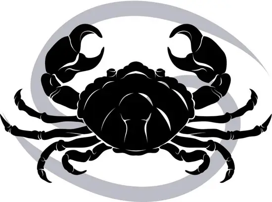 一做生意就发财星座女巨蟹(如何在商场中脱颖而出)