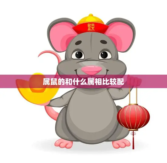 属鼠的和什么属相比较配(最佳配对指南)