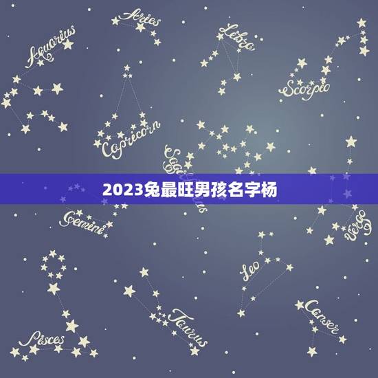 2023兔最旺男孩名字杨(寓意吉祥，适合取名)
