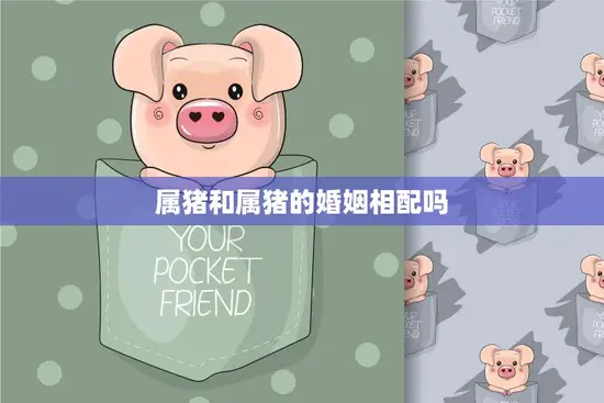 属猪和属猪的婚姻相配吗(探讨同属猪的恋人是否适合结婚)