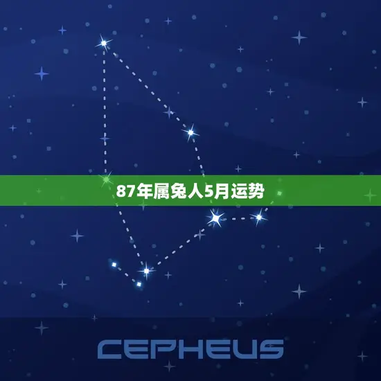 87年属兔人5月运势(财运旺盛事业顺利)