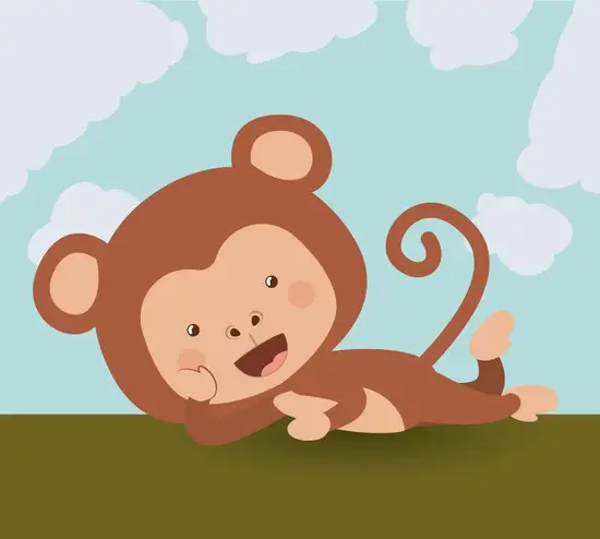 属猴子今年多大2023(猴年将至猴子们的年龄将迎来新变化)