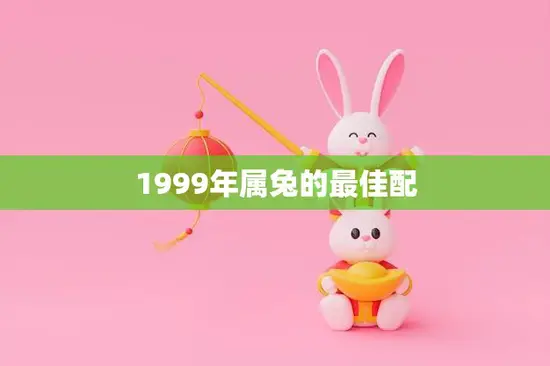 1999年属兔的最佳配(如何选择最适合你的伴侣)