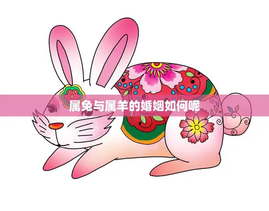 属兔与属羊的婚姻如何呢(两个温柔的星座相遇会擦出怎样的火花)