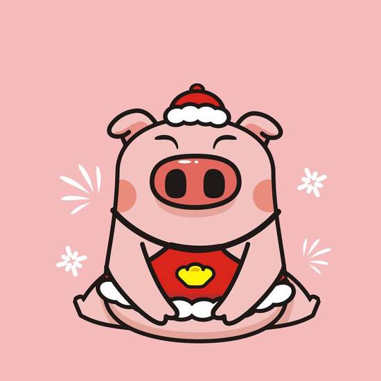 1995属猪配什么生肖(最佳搭档大揭秘)