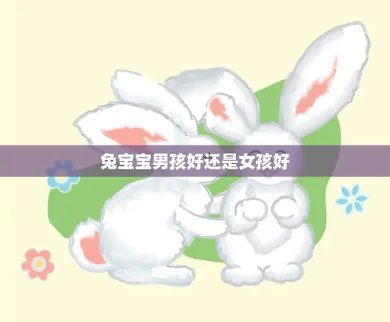 兔宝宝男孩好还是女孩好(如何选择更适合你的宠物兔)