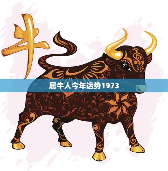 属牛人今年运势1973(2023年运势如何)