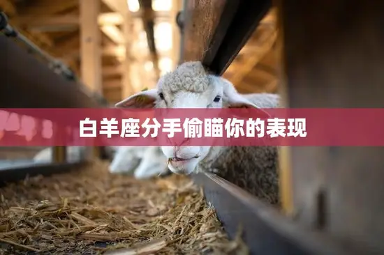 白羊座分手偷瞄你的表现(如何看出TA还在意你)