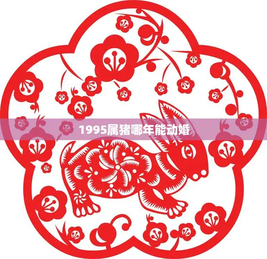 1995属猪哪年能动婚(猪年、兔年、龙年三个黄道吉日等你来定)