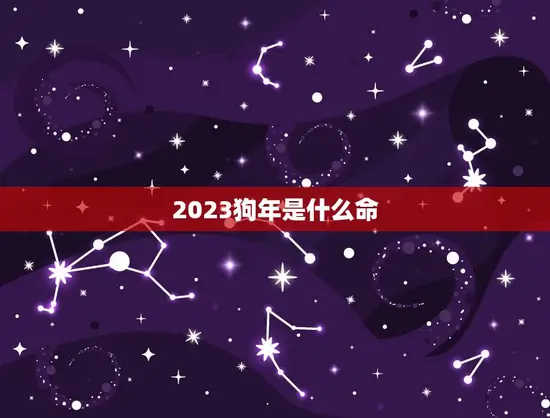 2023狗年是什么命(狗年运势大介绍)