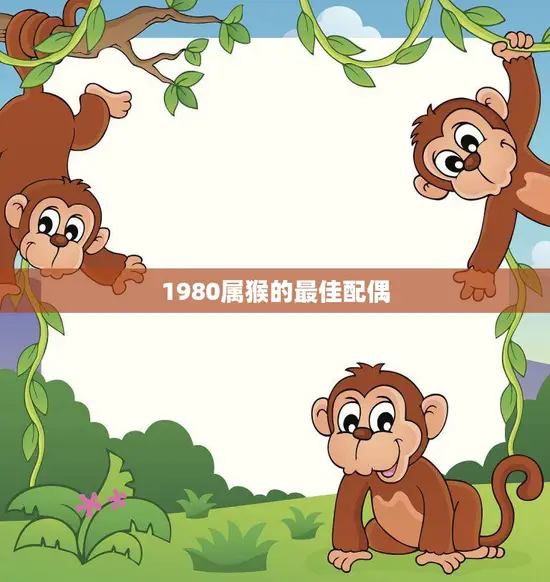 1980属猴的最佳配偶(如何选择)