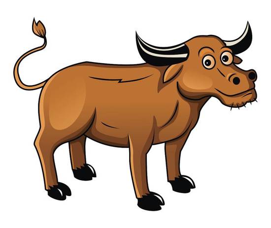 属牛年龄对照表2010(了解你的生肖年龄)