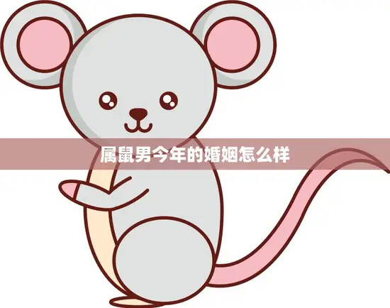 属鼠男今年的婚姻怎么样(解析婚姻运势大揭秘)