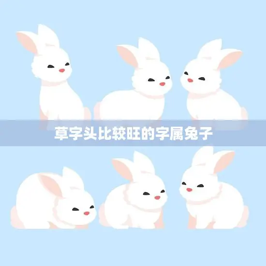 草字头比较旺的字属兔子(兔年宝宝必看这些字最适合你)