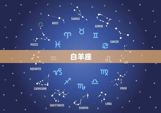 十二星座公主裙晚礼服(穿出你的星座魅力)