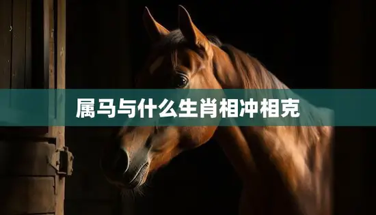 属马与什么生肖相冲相克(你的马年运势大揭秘)