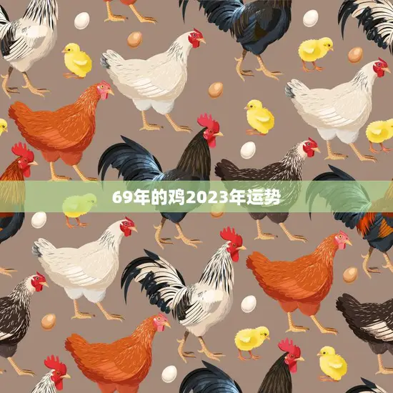 69年的鸡2023年运势(翻转命运迎来新起点)