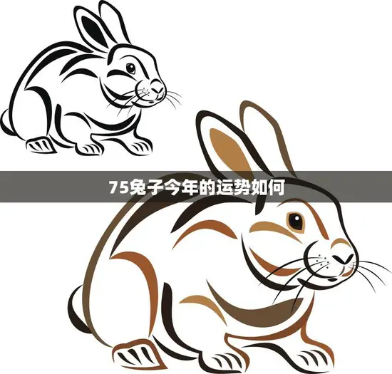 75兔子今年的运势如何(2023年兔子运势大揭秘)