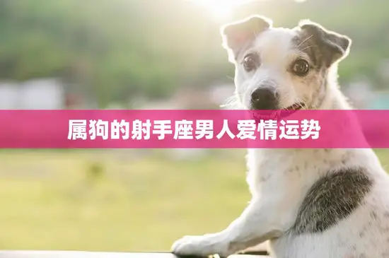 属狗的射手座男人爱情运势(2023年如何)