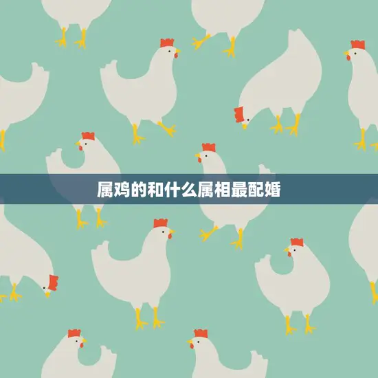 属鸡的和什么属相最配婚(最佳婚配星座大揭秘)