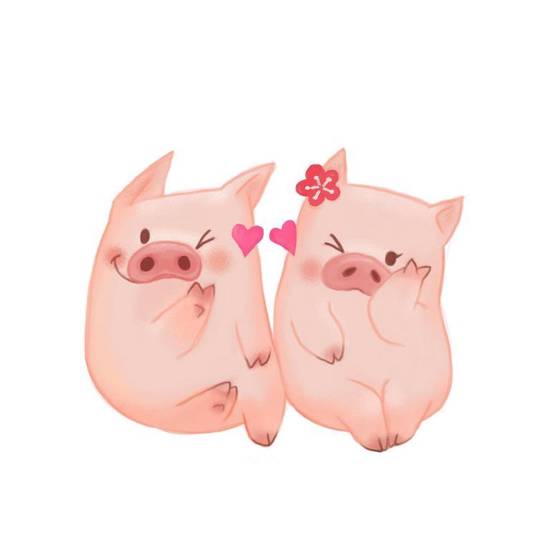 七一年猪2023年运程(顺风顺水财源滚滚来)