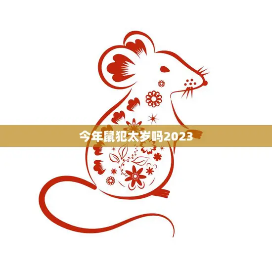 今年鼠犯太岁吗2023(解读2023年鼠年运势)