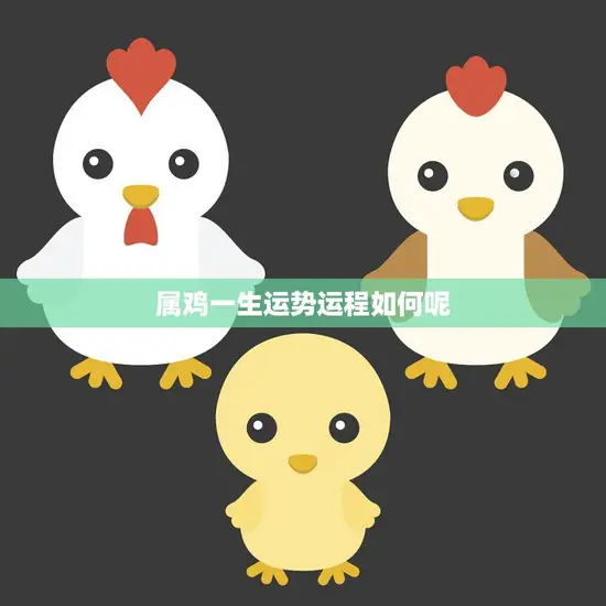 属鸡一生运势运程如何呢(解析属鸡人的命运轨迹)