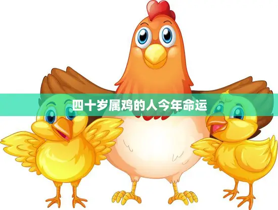 四十岁属鸡的人今年命运(如何转运)