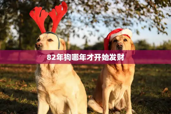 82年狗哪年才开始发财(揭秘财富之路从何时起)