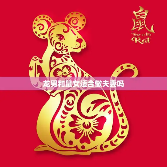 龙男和鼠女适合做夫妻吗(探讨星座配对是否能决定婚姻幸福)