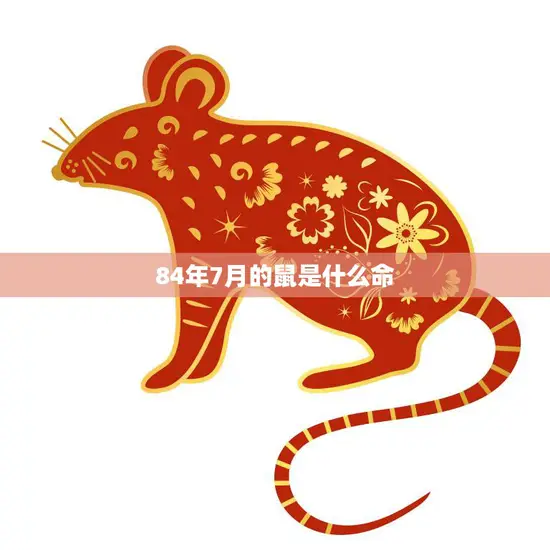 84年7月的鼠是什么命(解读命运与性格特征)