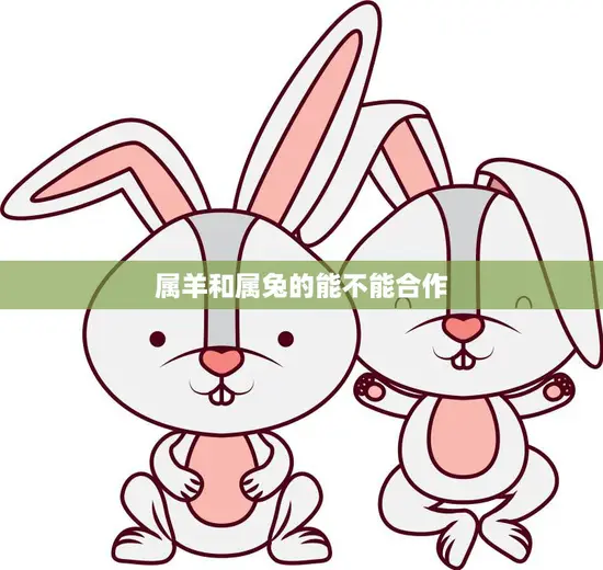 属羊和属兔的能不能合作(解析合作还是分手)
