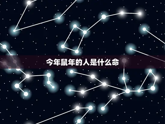 今年鼠年的人是什么命(2023年鼠年生肖运势大介绍)