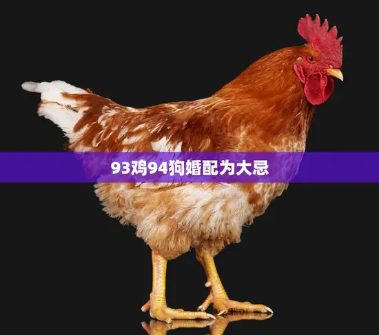 93鸡94狗婚配为大忌(为什么这样的组合会被视为不吉利)