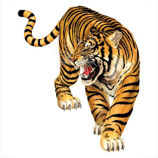 86年属虎的男最佳婚配(如何选择最适合的伴侣)