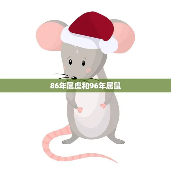 86年属虎和96年属鼠(相遇缘起命运交错)