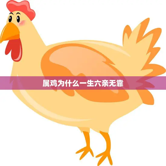 属鸡为什么一生六亲无靠(探究属鸡人缘不佳的原因)