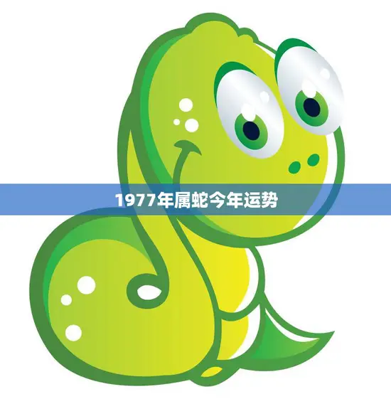 1977年属蛇今年运势(蛇行天下财运亨通)