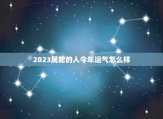2023属蛇的人今年运气怎么样?运势详解,给你科学的心灵疗伤
