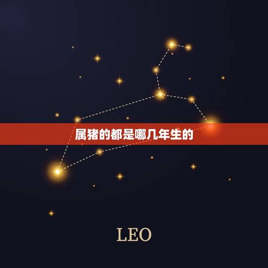 属猪的都是哪几年生的(猪年生肖介绍)