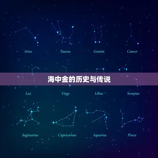 海中金遇什么是上等命(探寻命运的海洋奥秘)