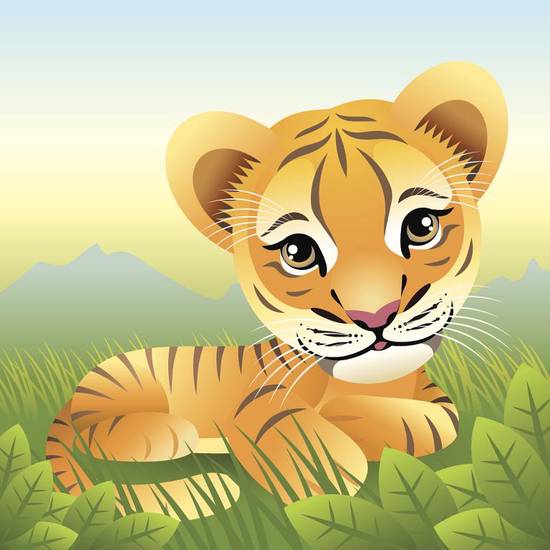 六二年的虎今年运势如何(解析2023年虎年运势)