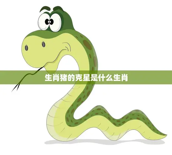 生肖猪的克星是什么生肖(揭秘猪年运势大起底)