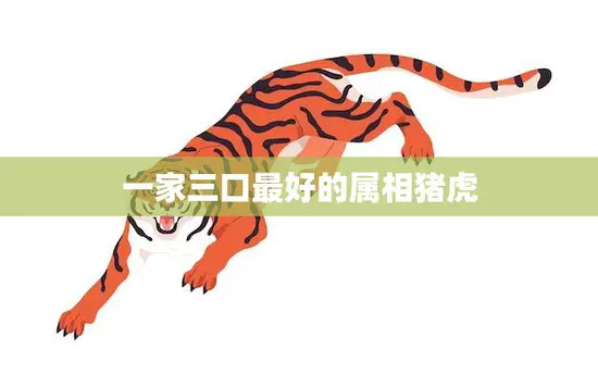 一家三口最好的属相猪虎(如何选择最适合你的生肖)
