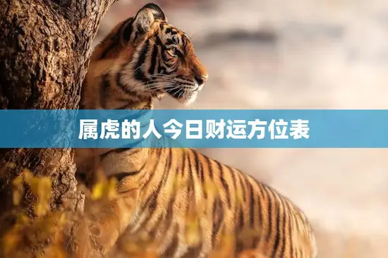 属虎的人今日财运方位表(寻找财富宝地开启财富之门)