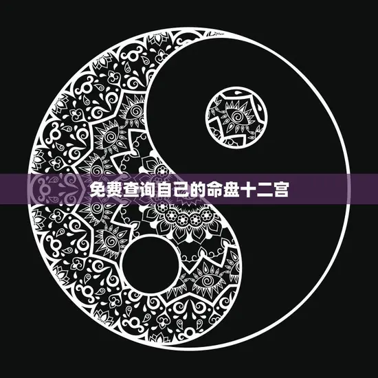 免费查询自己的命盘十二宫(掌握人生运势)