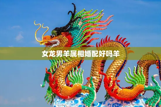 女龙男羊属相婚配好吗羊(解析龙女羊男姻缘有望)
