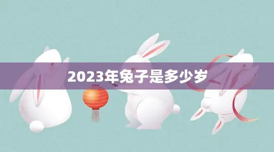 2023年兔子是多少岁(解密兔子年龄计算方法大揭秘)