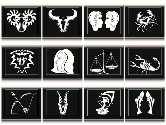 96鼠95猪合不合 90属马和95属猪配吗