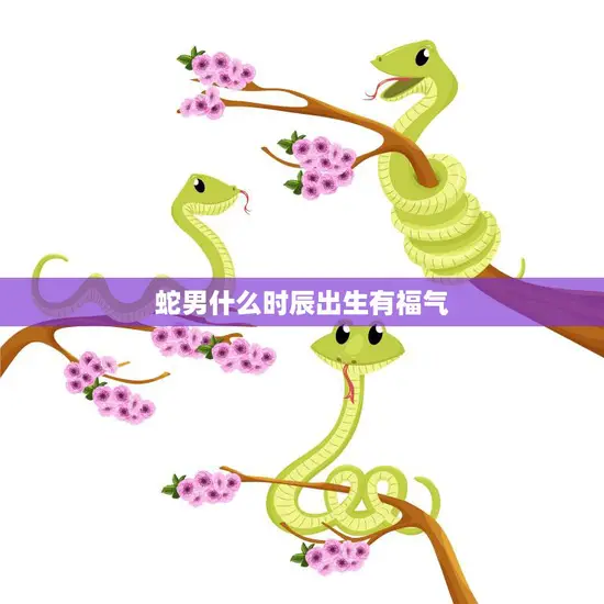 蛇男什么时辰出生有福气(探寻生肖蛇男的吉时吉日)